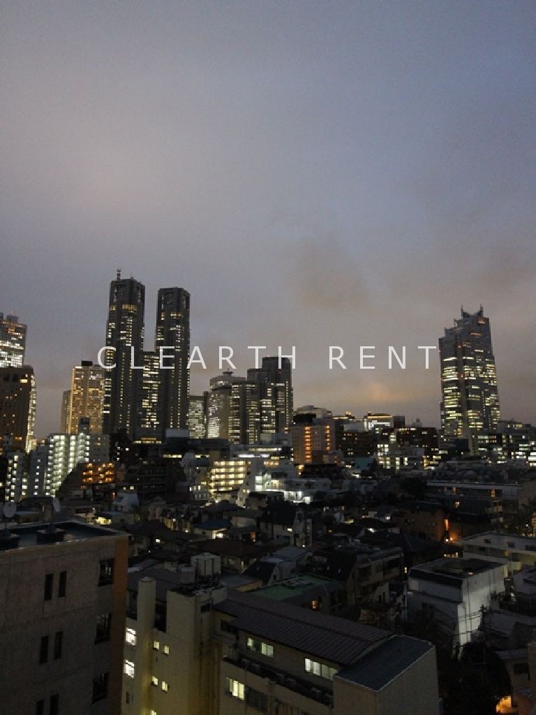 パレステュディオ新宿パークサイド12階 お部屋から見える景色