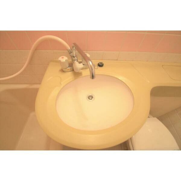 プラザ宿町303号室 洗面