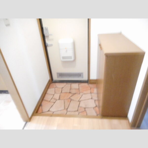 朝倉レグルス カウンタータイプシューズBOX