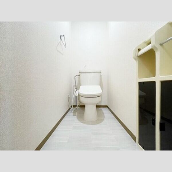 ドミール　D トイレ