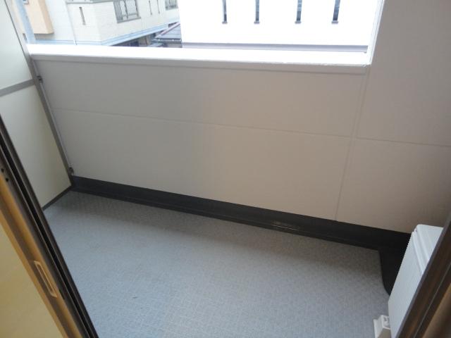 リオ　アレーナ（Ｒｉｏ　Ａｒｅｎａ）205号室 ベランダ