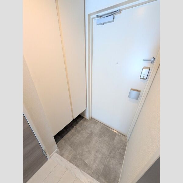 ロイジェント潮見0211号室 玄関