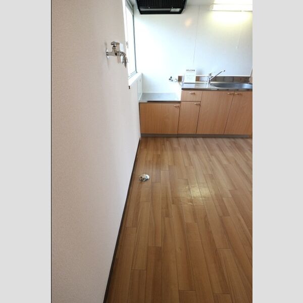 アネックスU　1101号室 室内洗濯機置場