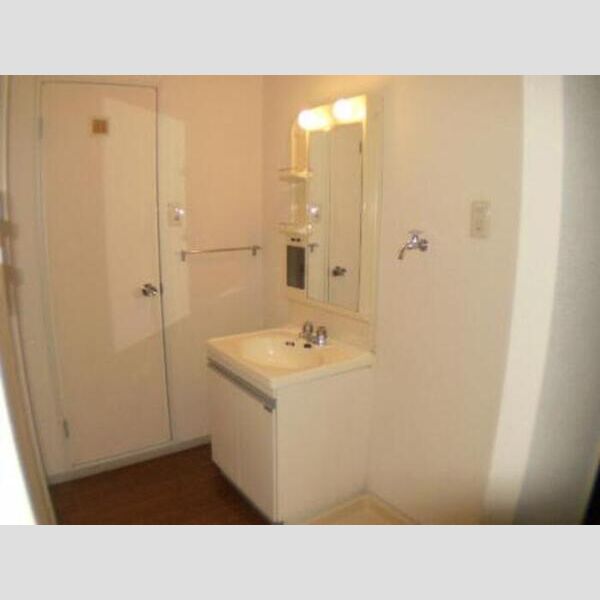 ロイヤルハイム高砂101号室 洗面室