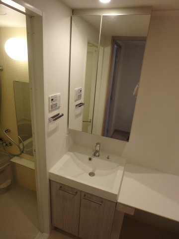 ブランノワール門前仲町0902号室 洗面