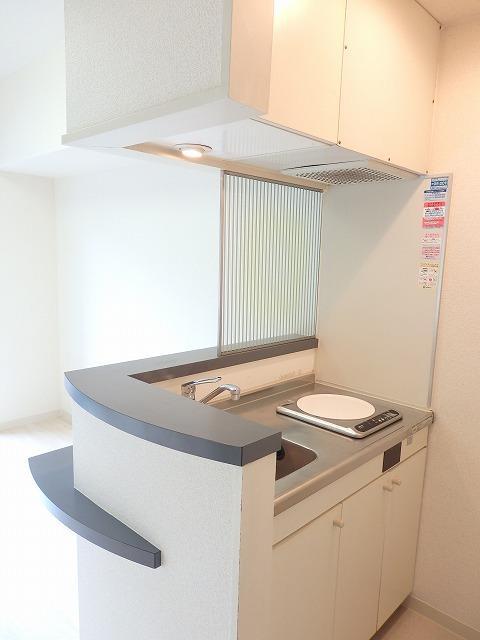 ローズマンションＡ３１番館(A-031)3階 キッチン