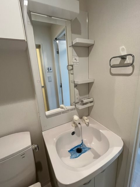 レジディア日本橋人形町Ⅱ8階 洗面