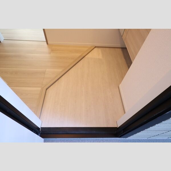 アヴァンス八潮A 玄関