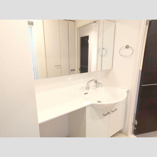 シャルム上野毛 201号室洗髪洗面化粧台