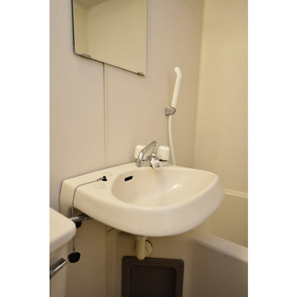 ビラメゾン国立0103号室 洗面