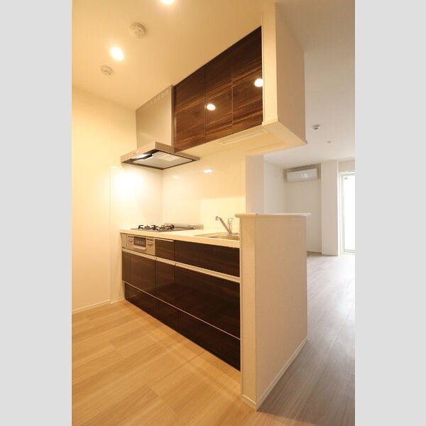 グランメゾン北浦和501号室 対面システムキッチン