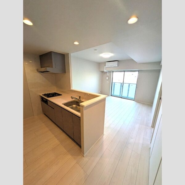 ロイジェント潮見0215号室 リビング