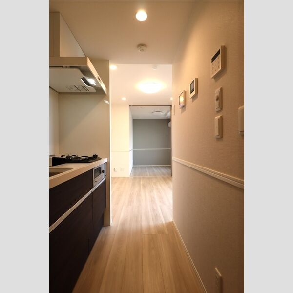 グラナーデ東新町307号室 キッチン周辺