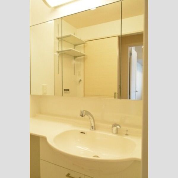 ベルーザ東船橋106号室 ベルーザ東船橋洗面台