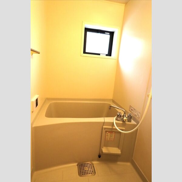 ル・ソレイユシェソワ　ABCDB101号室 バスルーム