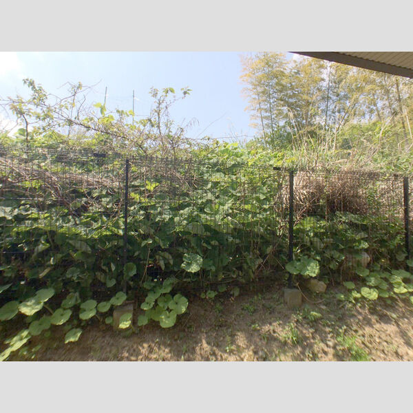 カサブランカ103号室 周辺