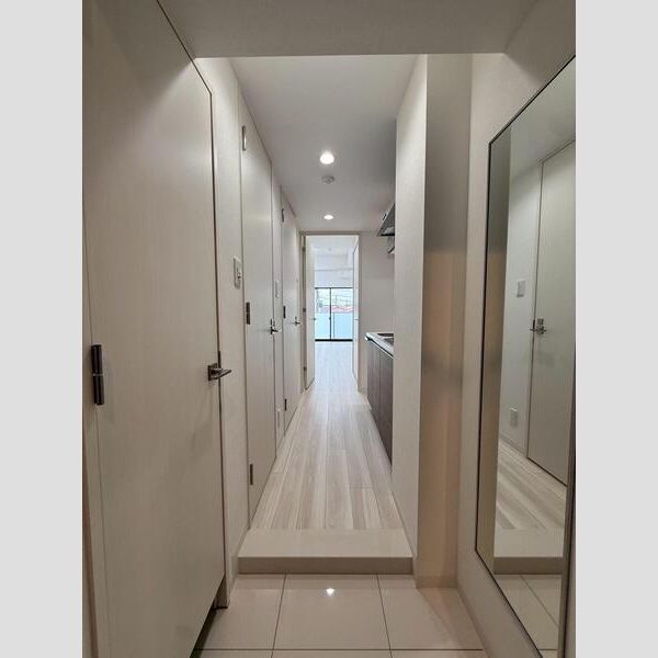 MAXIV CROS高島平MIRAIS302号室 玄関