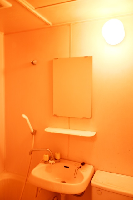 フィエスタ祐天寺0106号室 洗面