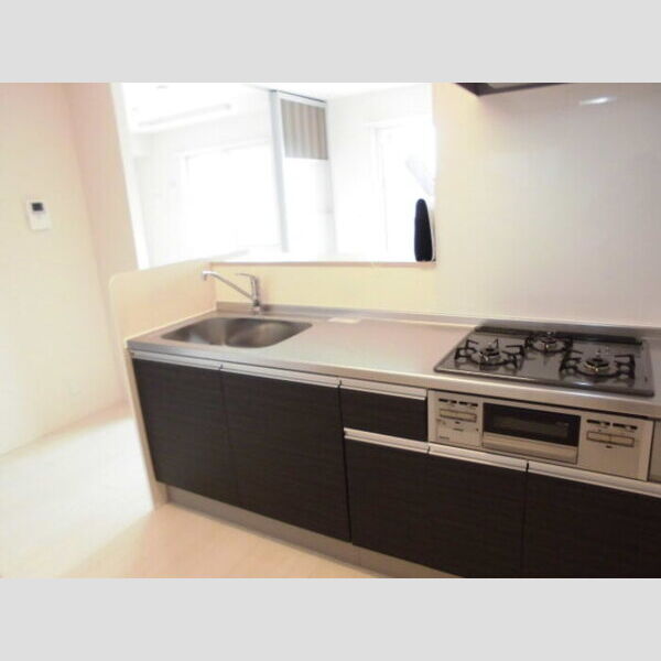 メゾンエミールⅠ システムキッチン