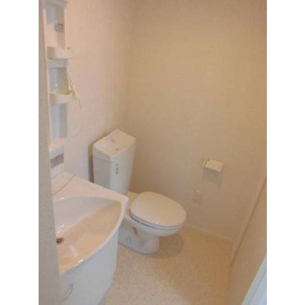 ラ・カンパネラ中央林間0201号室 トイレ