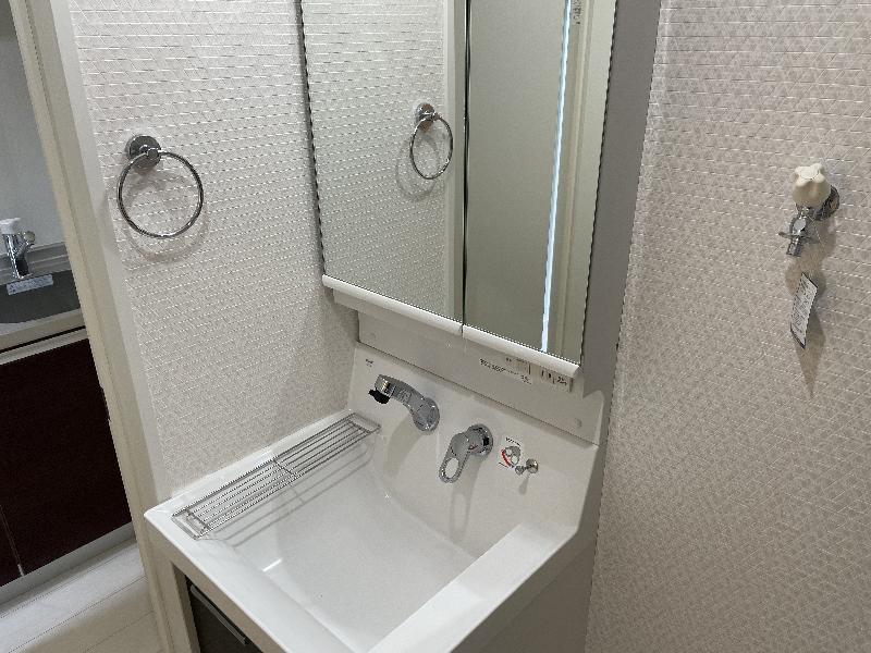 Ｉｎｆｏｇｌｉａ　Ｂｒｅｚｚａ1階 洗面