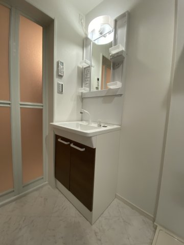 ヴィラージュ中山203号室 洗面