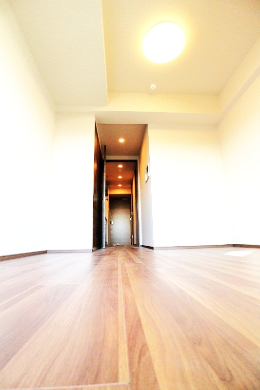 DIPS金町レジデンス5階 部屋その他