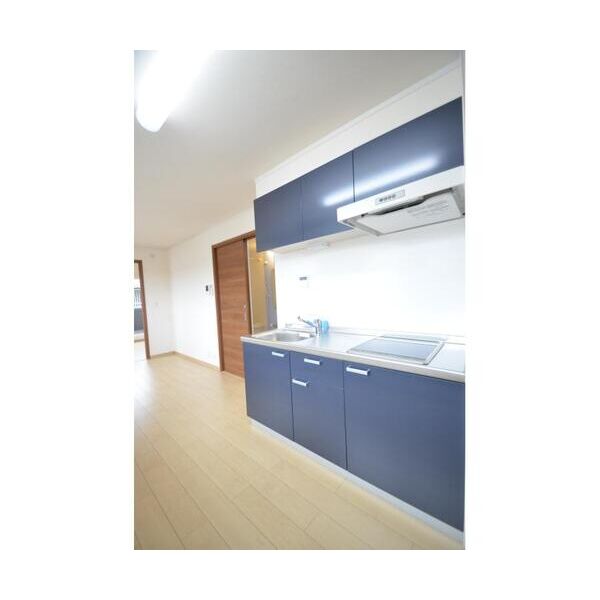 AKピオニー203号室 キッチン