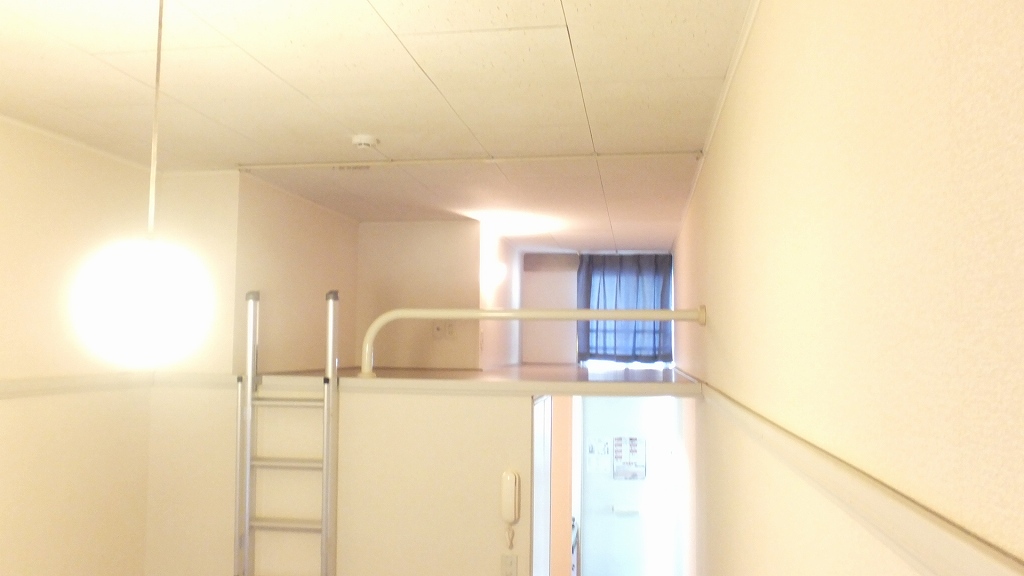 レオパレスジュネス栗田204号室 ロフトスペース