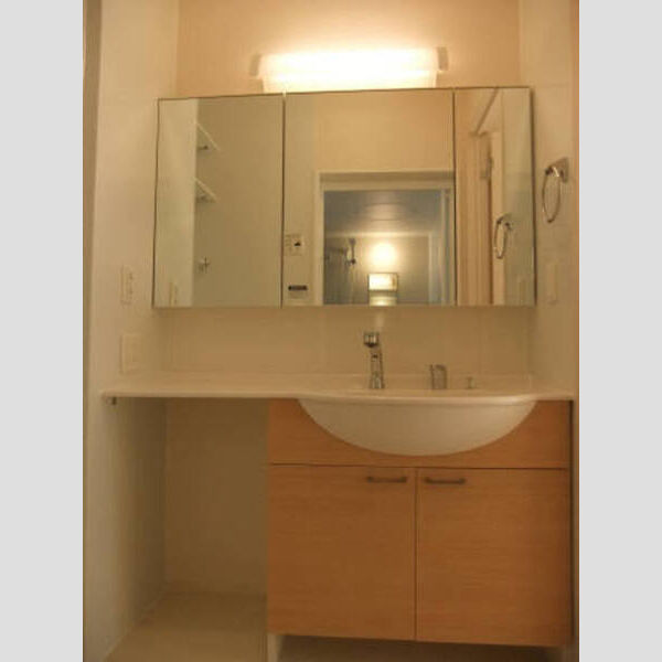 エバーグリーンB号室 B　大きな鏡の洗面台