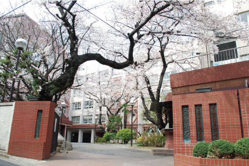 Log駒込／ログ駒込1102号室 【専門学校】香川調理製菓専門学校まで243ｍ