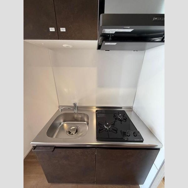 MAXIV横浜吉野町SOUTH302号室 洗面