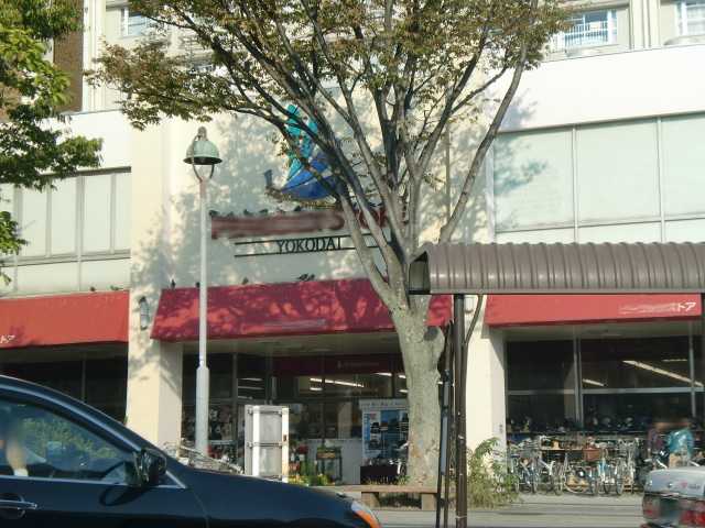 アイストン ピーコックストア洋光台店まで1,334ｍ
