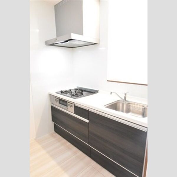 ラ・パージュ桜 システムキッチン