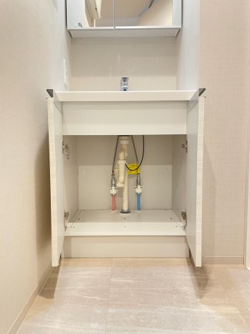 DIPS上板橋502号室 洗面