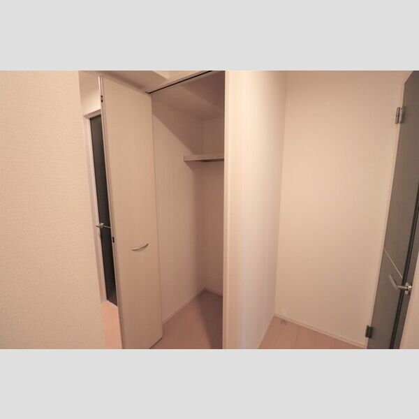 ブリランテレイク クローゼット