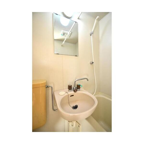 エステートピア黒沢307号室 洗面