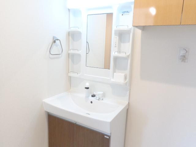 オーク　テラス106号室 洗髪洗面化粧台