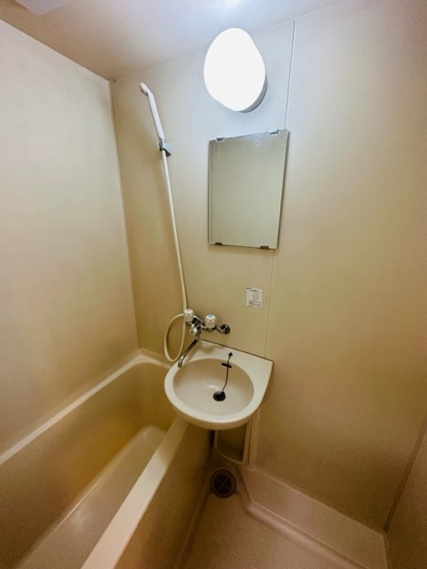 Ｂｉｇ　Ｔｈｒｏｕｇｈ0310号室 洗面