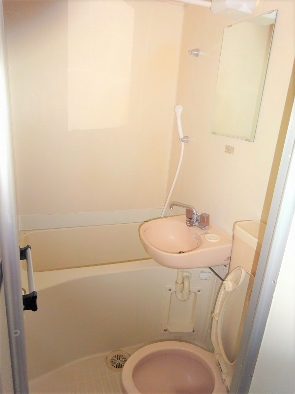 ミカサ富士見第二(E-163) バス