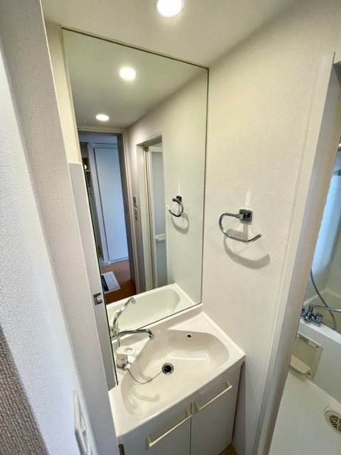 レジディア市谷薬王寺5階 洗面