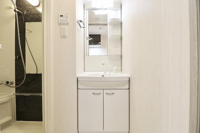 N-Stage鳩ヶ谷6階 洗面所