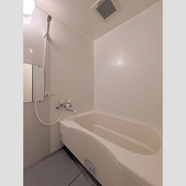 トレビナ与野本町305号室 浴室