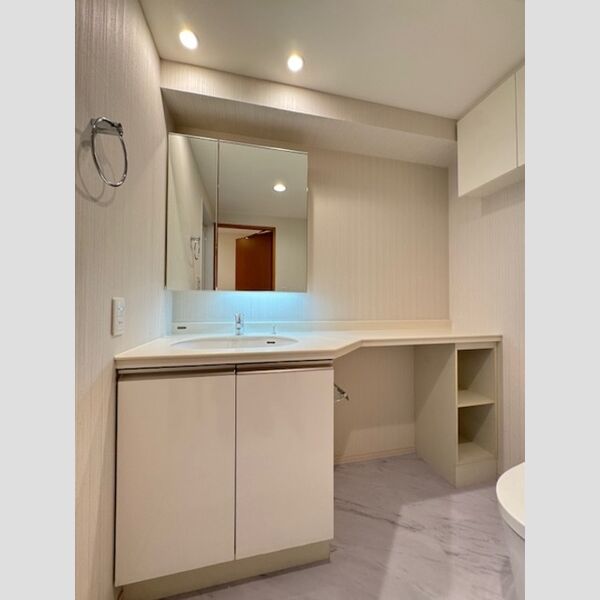 カスタリア銀座Ⅲ0203号室 洗面