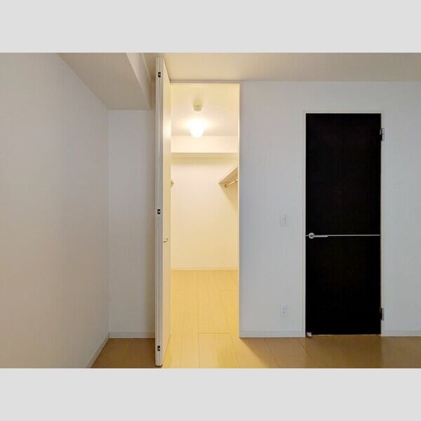 スプリングフォレスト　B206号室 ウォークインクローゼット