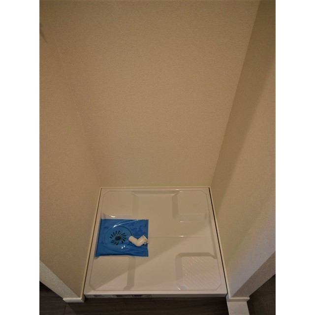 ルクレ西新宿0204号室 室内洗濯機置場