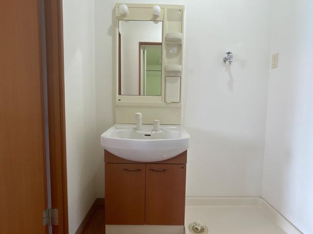 プラム　ツリィ205号室 洗髪洗面化粧台