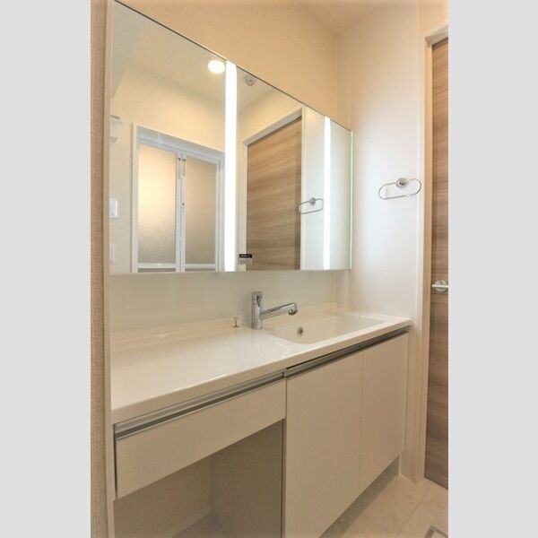 トワ・グレース柏の葉106号室 洗髪洗面化粧台