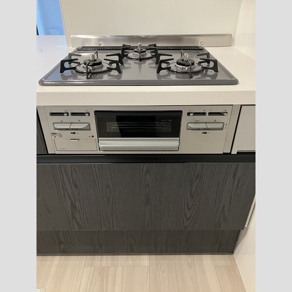 セレスティア祖師谷305号室 同建物別部屋の参考画像