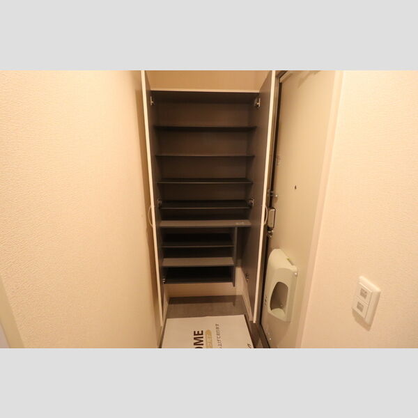 Dog wood シューズボックス